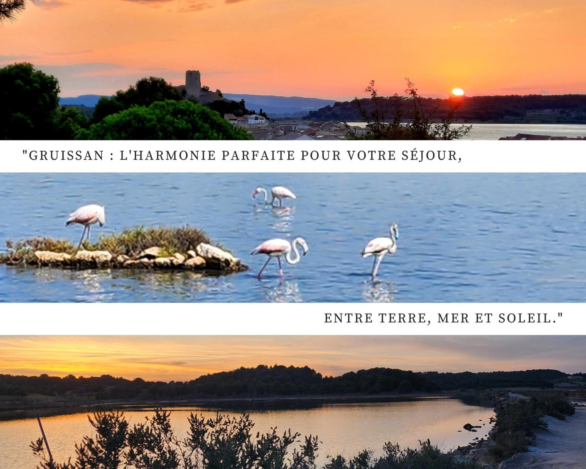 L'Eden - Vue Magnifique Sur Le Port, Les Chalets & La Mer - Gruissan Dış mekan fotoğraf